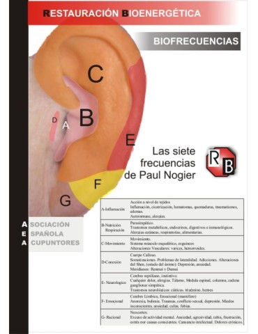 CURSO DE AURICULOPUNTURA · MÉTODO RB online con clases en vivo
