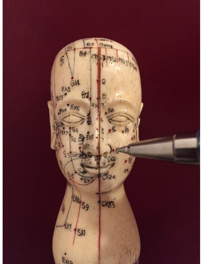 Curso Método RB Acupuntura desde cero