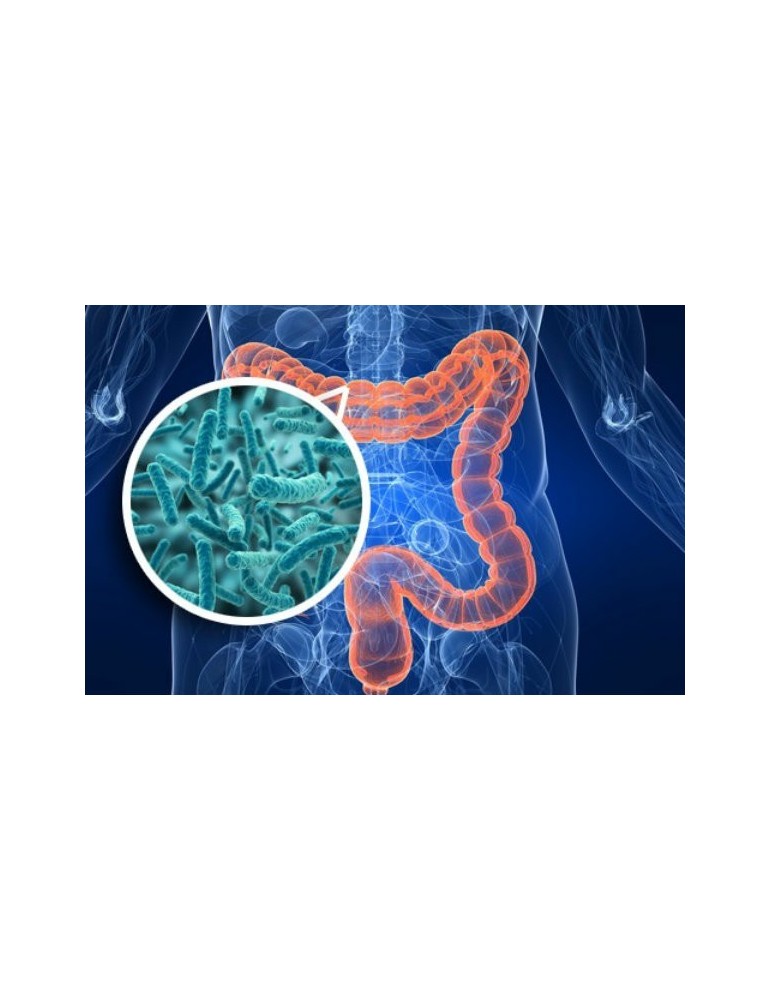 Curso RB de Salud y Microbiota intestinal online